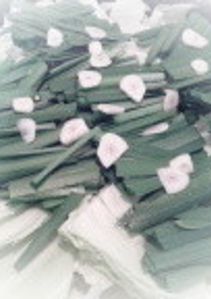 鮎さん家のもつ鍋-レシピのメイン写真
