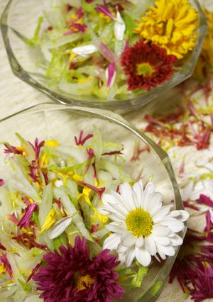 花がいっぱい✿サラダマムと白菜のサラダ✿-レシピのメイン写真