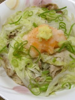 冬の定番♪白菜と豚肉の重ね煮-レシピのメイン写真