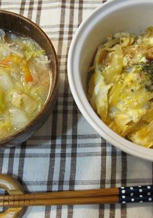 残りフライ丼-レシピのメイン写真