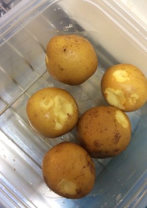 小さいジャガイモの簡単皮むき-レシピのメイン写真