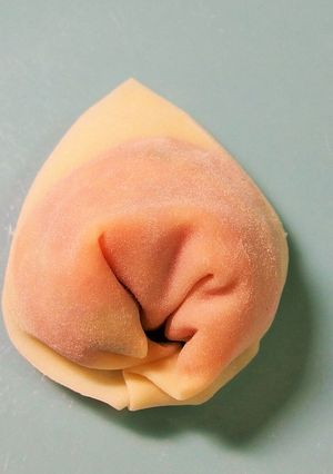 かわいすぎ！ワンタンの包み方　解説-レシピのメイン写真