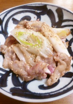 豚肉と白ネギの塩炒め♪-レシピのメイン写真