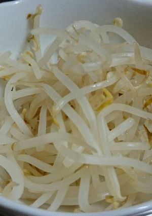 栄養士直伝☆ もやしのおいしいゆで方-レシピのメイン写真