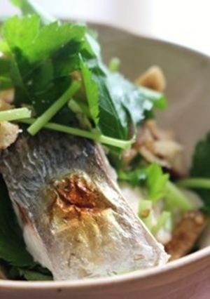 アジとたたきごぼうの胡麻酢和え-レシピのメイン写真