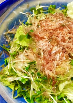 給料日前！カイワレおかかレタスサラダ☆-レシピのメイン写真