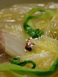 白菜と豚肉の春雨中華スープ-レシピのメイン写真