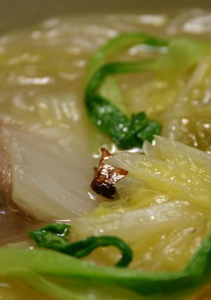 白菜と豚肉の春雨中華スープ-レシピのメイン写真