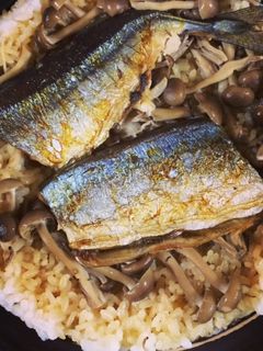 秋刀魚の炊き込みごはん-レシピのメイン写真