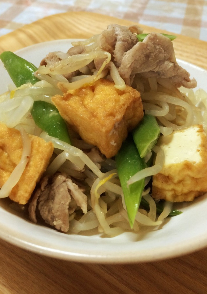 豚肉と厚揚げのさっぱりもやし炒め-レシピのメイン写真