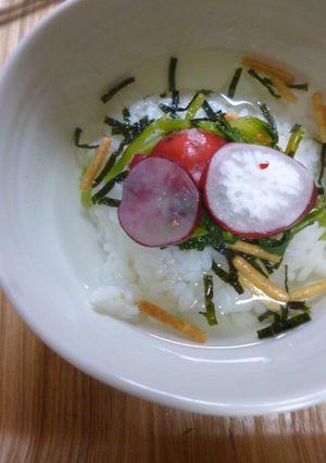 お茶漬け(二十日大根の漬け物)-レシピのメイン写真