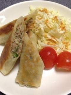 簡単!餃子のような肉春巻き-レシピのメイン写真