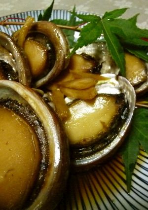 とこぶしの煮付け♫-レシピのメイン写真