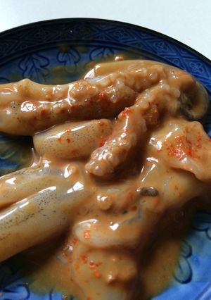 簡単すぎて美味しすぎるイカの塩辛♡-レシピのメイン写真