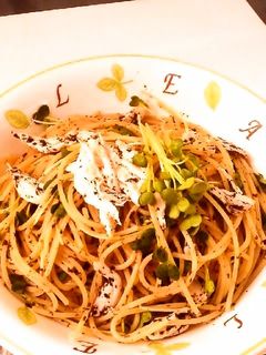 ☺簡単♪鶏ささみとゆかりの和風パスタ☺-レシピのメイン写真