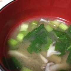 A picture of これだけ！？味噌汁の青菜の色を保つ方法.