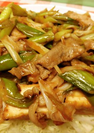 豚肉と厚揚げのマヨ照り炒め♪-レシピのメイン写真