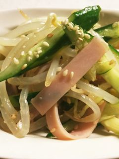 もやしとキュウリの中華サラダ-レシピのメイン写真
