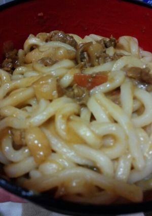 残ったカレーでリメイクカレーうどん♪-レシピのメイン写真