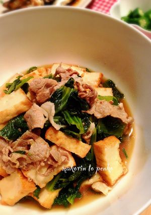 豚肉と高菜と厚揚げのさっと煮-レシピのメイン写真