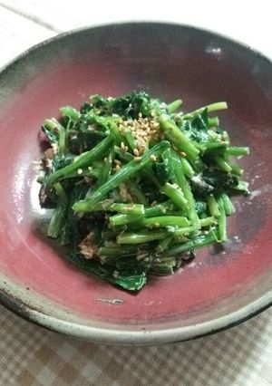 ほうれん草のマヨ醤油和え-レシピのメイン写真