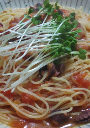 稚内産☆タコのアマトリチャーナ-レシピのメイン写真