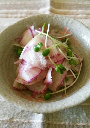 紅しぐれ大根×貝割れde麺つゆ漬け♪-レシピのメイン写真