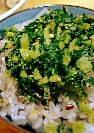 簡単★大根の葉の塩漬け！ご飯が進む♪-レシピのメイン写真