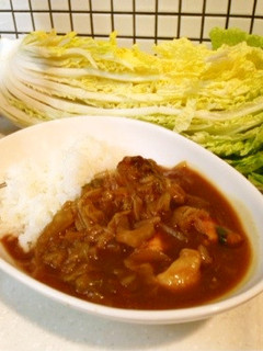 びっくり☆簡単!大量消費!白菜カレー!-レシピのメイン写真