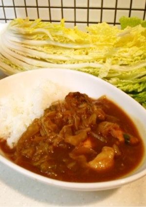 びっくり☆簡単！大量消費！白菜カレー！-レシピのメイン写真
