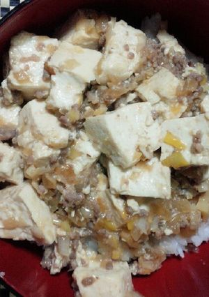 主な調味料２つ！子供も食せる簡単麻婆豆腐-レシピのメイン写真