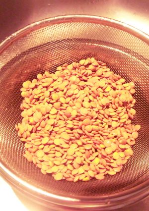 ☆超簡単☆レンズ豆の戻し方　シャスール鍋-レシピのメイン写真