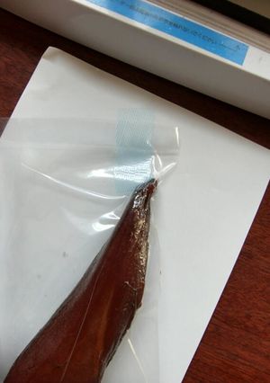 燻製品を真空パック器でポリ袋保存-レシピのメイン写真