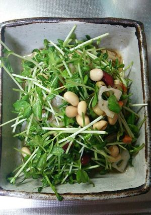 豆苗のまめまめ♪もずくサラダ♪-レシピのメイン写真