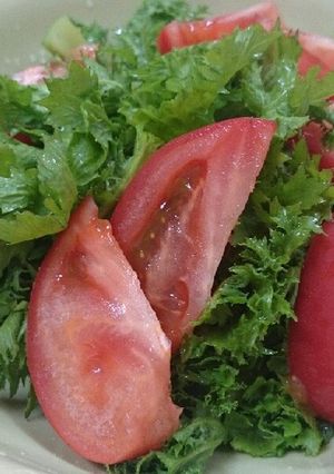 ピリッ★からし菜とトマトのサラダ-レシピのメイン写真