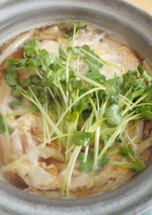 鍋焼きつゆだく親子うどん-レシピのメイン写真