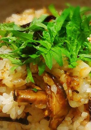 椎茸だけ！ほっこり幸せ炊き込みご飯♡-レシピのメイン写真