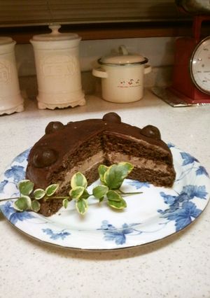 ☆ココアのスポンジケーキ☆簡単ふわふわ♪-レシピのメイン写真