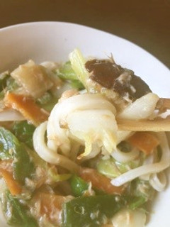 温野菜のポカポカあんかけうどん♪-レシピのメイン写真