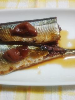 さんまの梅煮・圧力鍋で-レシピのメイン写真