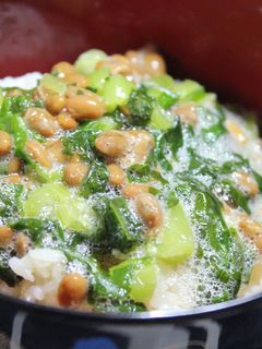 簡単TKG〜納豆と野沢菜で贅沢に〜-レシピのメイン写真