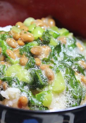 簡単TKG〜納豆と野沢菜で贅沢に〜-レシピのメイン写真
