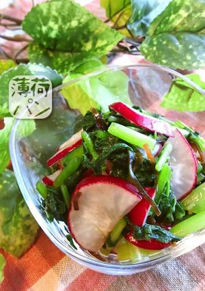 ちょいピリ♪ラディッシュの刻み漬け-レシピのメイン写真