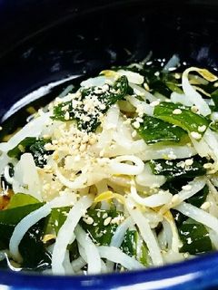 もやしとワカメの酢の物-レシピのメイン写真