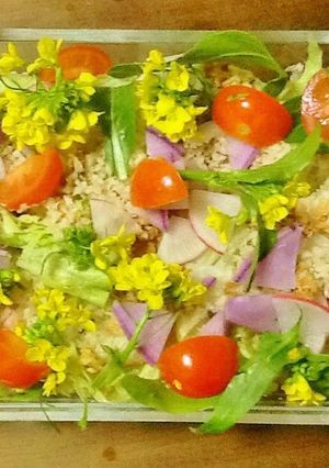 アスパラ菜の花サラダ-レシピのメイン写真