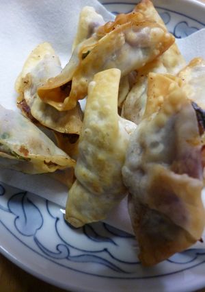 紫キャベツ入り・揚げ餃子-レシピのメイン写真