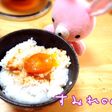 甘いの苦手な人向!卵黄のにんにく醬油漬け