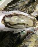殻付き牡蠣を簡単レンジでチン