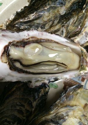 殻付き牡蠣を簡単レンジでチン-レシピのメイン写真