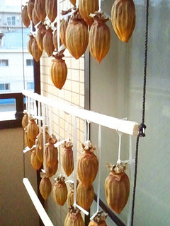 干し柿(覚え書き)-レシピのメイン写真